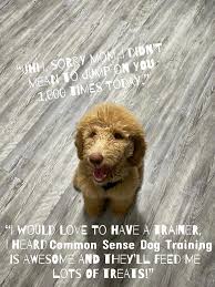 Image result for tbn:ANd9GcT9GTDvoeZslbTfRgc9SbtLfmHl15TvbB2vJ134_7_XnofUBeY3skxFMC8:https://www.doglife.sitew.com/fs/Root/5vdf8-5615663_chien_malade_sur_le_c_t_et_sur_fond_blanc.jpg