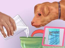 Maybe you would like to learn more about one of these? What Does Yellow Bile Mean In Dogs