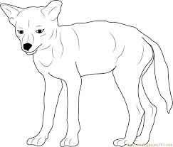 Maybe you would like to learn more about one of these? Baby Coyote Coloring Page For Kids Free Coyote Printable Coloring Pages Online For Kids Coloringpages101 Com Coloring Pages For Kids