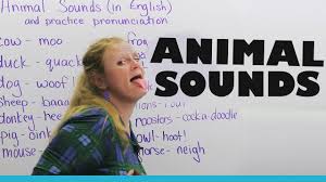Wav, mp3, aif, & midi sound files. Animals And The Sounds They Make Youtube