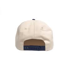 Image result for Beige 1988 ARO