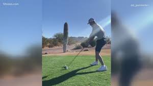 Unless of course you buy one from a nursery. Viral Video Shows Golfer Driving Ball Into A Saguaro Cactus At Arizona Course Kare11 Com