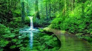 Check spelling or type a new query. Ini Jawabannya Kenapa Lingkungan Harus Tetap Sehat Dan Lestari