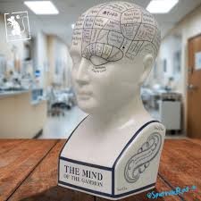 I found this Porcelain head while digging in our garden