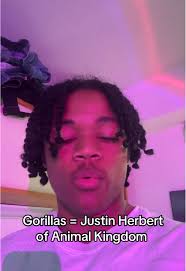 Chris Franklin 100 Gorillas