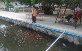 Dulu Dipenuhi Sampah Sungai Di Mojokerto Kini Jadi Budidaya Ikan Tempat Sampah Pedesaan Sungai
