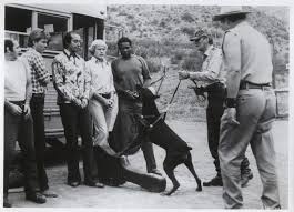 Picture of Mean Dog Blues