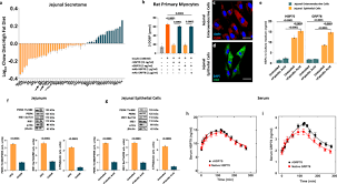 Image result for Nile Green 1951 Nash