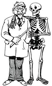 A photo taken through a microscope that shows the anatomy of compact bone with a. Crossword Anatomy And The Body Intermediate English