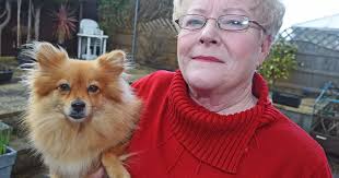 Tell me I'm not only one who saw UFOs in sky over Conwy, says retired nurse 