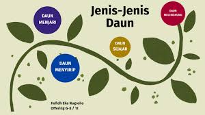 We did not find results for: Daun By Mobo Creative Production