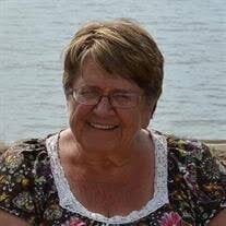 Sharon Rae Smit Obituary