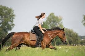 Download How Horseback Riding Can Boost Girls Body Image Curlyfarm Com