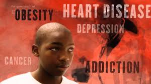 Trauma and Resilience Summit Panel and Film Viewing