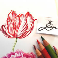 Meine Tulpe Fur Das Ende Der Blumenzeichnenchallenge Tulpenmanie Tulpenwahn Tulpen Tulips Tulpe Blumen Zeichnen Blumenzeichnung Blumen Malen