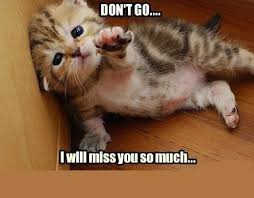 Our collection of i miss you ecards for him is very popular, because people find unique memes and sayings. 40 Funny Miss You Memes To Share With Your Close Ones Sheideas