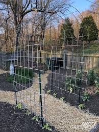 We did not find results for: Cattle Panel Trellis How To Build A Diy Vegetable Garden Arch