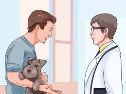 More images for how to give a dog the heimlich » How To Save A Choking Dog 13 Steps With Pictures Wikihow