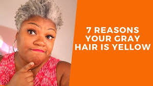 SILVER SISTER INTERVIEW