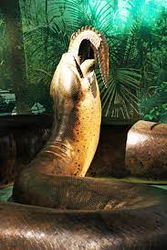 The titanoboa is an extinct snake that was simply massive, at 42 ft. Titanoboa Simple English Wikipedia The Free Encyclopedia