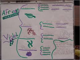 Example of multi flow map in accounting principles subject. I Think Kemahiran Berfikir Secara Kreatif Kritis Dan Inovatif