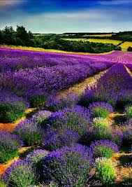 Pin By Mona Moni On Nature Beautiful Nature Pictures Beautiful Landscapes Beautiful Nature