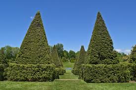 Ladew's garden master plan began with the creation of the great bowl, a sweeping expanse of lawn north of the house embellished with an oval swimming pool. Ladew Topiary Gardens Review Grading Gardens
