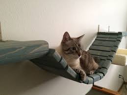 Cat Bridge W Raised Ledge Modern Cat Cat Wall Cat Diy