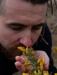 Honey to water ratio for moonshine recipe