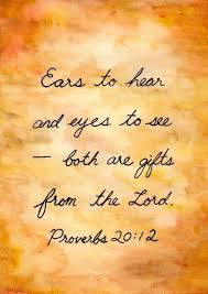 Pin On God S Amazing Creation