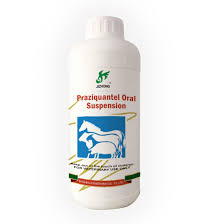 Praziquantel for Horse and Poultry - Digestive Balance and Internal Care