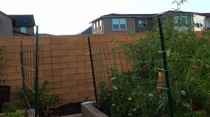 Reddit gives you the best of the internet in one place. Full July 2020 Garden Tour With Harvests Gardening Tips Things To Do Recipes