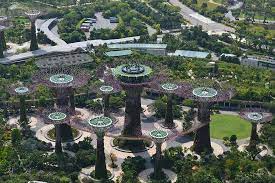 Gardens by the bay overview. View Of Botanic Gardens From Hotel Roof Bild Von Marina Bay Sands Singapur Tripadvisor