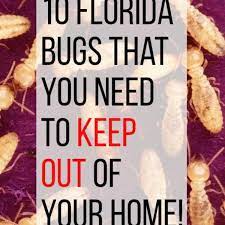 Garden pest control is a constant battle in an organic garden but your body (and the environment) will thank you! 10 Household Bugs To Keep Out Of Your Florida Home Dengarden