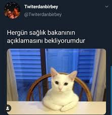 pin on komik her bok var