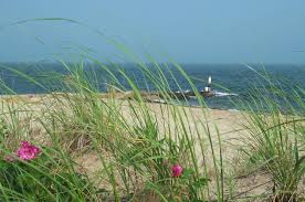 V i n t a g e s t o c k #postcardstock #vintagestock #deltiology #oldpaper all of my uploads are from my personal collection of antique paper ephemera and offered here as free use. New England Fly Drive Boston Marthas Vineyard