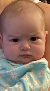 Murphy likes to make his own “snow cones” today with some chewy ice dropped  at our neighborhood elementary school in Savannah, Georgia!