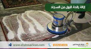 ازالة رائحة البول من السجاد beef condiments meat