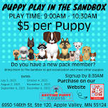 Puppy Play in The Sandbox