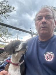 Rescued Treeing Walker Coonhound's Happy Ending