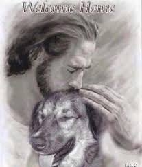 Pin On Animal Advocacy And For The Love Of Dogs