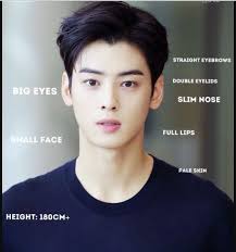 Why are Koreans going crazy over Cha Eunwoo's visuals?