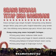 Cacing ini merupakan cacing yang sangat sulit untuk kita lihat dengan mata telanjang. Perlukah Orang Dewasa Minum Obat Cacing Indozone Id
