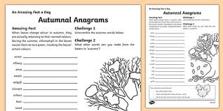 Type the letters in the correct sequence to form a word. 195 Top Anagrams Teaching Resources