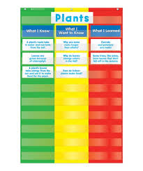 Scholastic Teaching Resources Three Column Pocket Chart Zulily