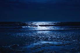 Vanessamariehay nackt as a top-tier OnlyFans creator, she