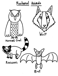 Nocturnal animals of the forest; Pictures Of Nocturnal Animals Coloring Home