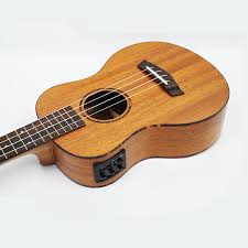 We did not find results for: Sevenangel 26 Inch Electric Ukulele Top Solid Wood Mahogany Aquila Strings Hawail Ukelele Mini Guitar With Pick Up Eq Ukulele Aliexpress
