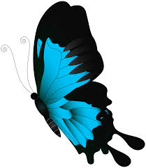Animals live in air clipart. Blue Flying Butterfly Png Clip Art Gallery Yopriceville High Quality Images And Transparent Png Free Clipart