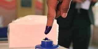 Byelection Dates For 30 Lsg Bodies In 12 Districts Of Kerala Announced The New Indian Express